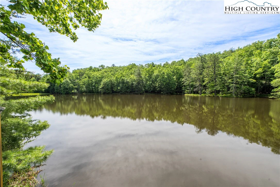 Image number 9 for the current listing