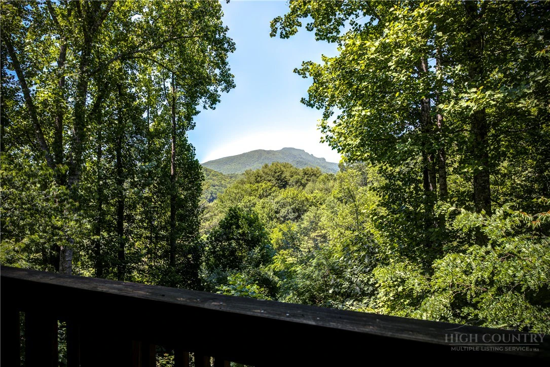 Image number 8 for the current listing