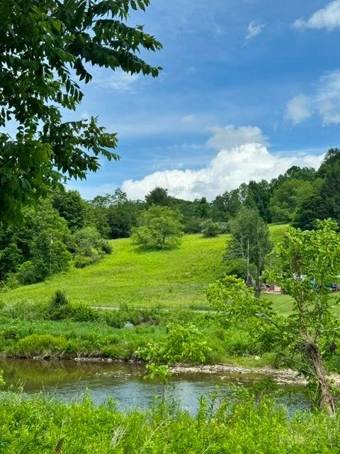 Image number 2 for the current listing