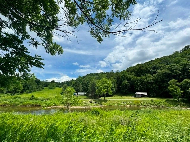 Image number 3 for the current listing