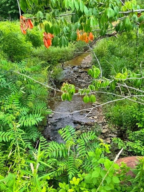 Image number 5 for the current listing