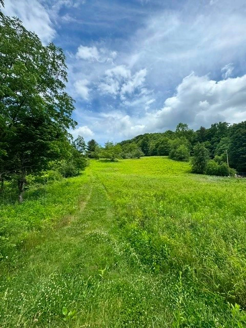 Image number 7 for the current listing