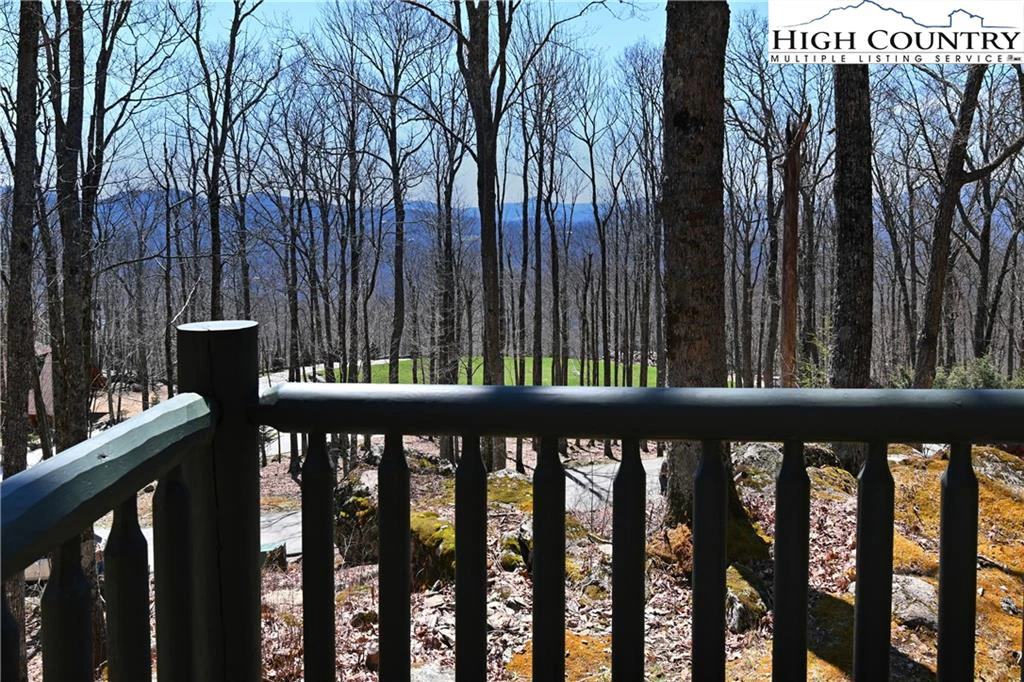 Image number 11 for the current listing
