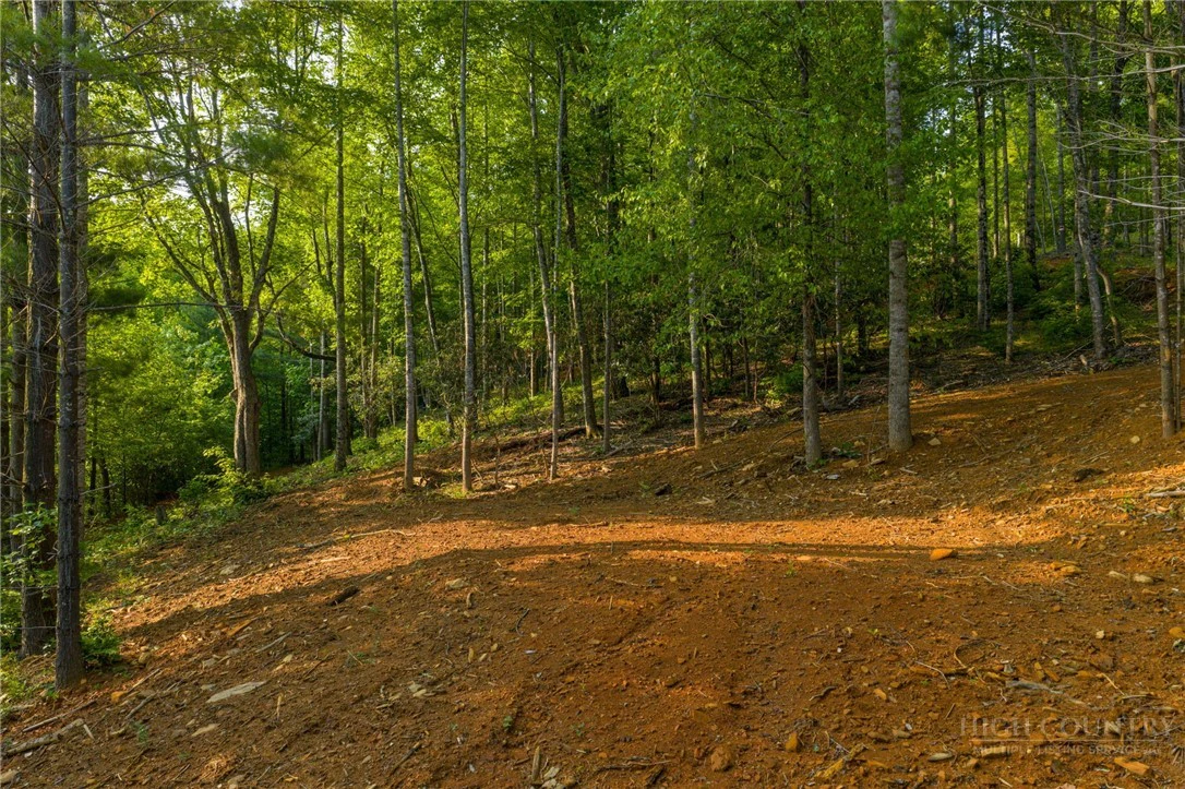 Image number 18 for the current listing