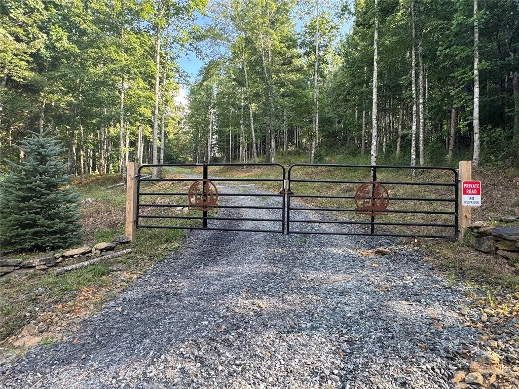 Image number 2 for the current listing