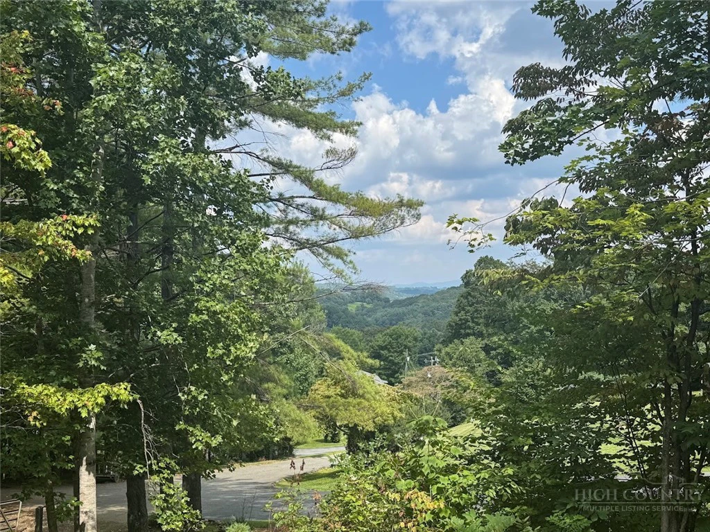 Image number 3 for the current listing