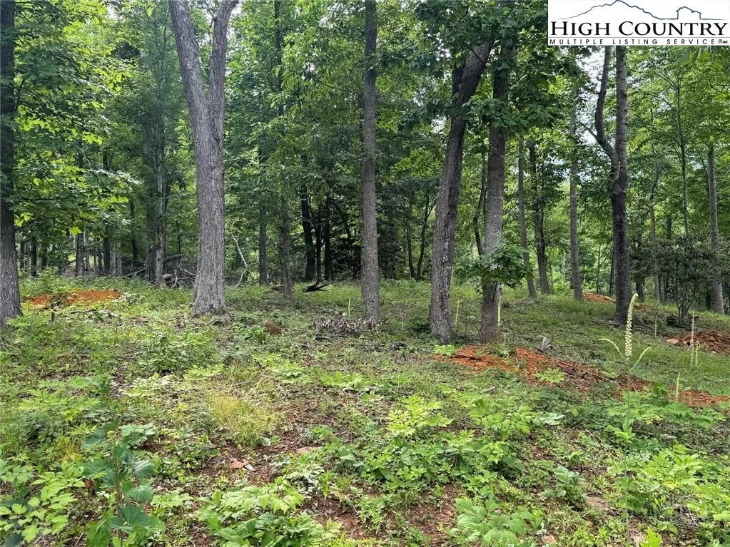 Image number 7 for the current listing