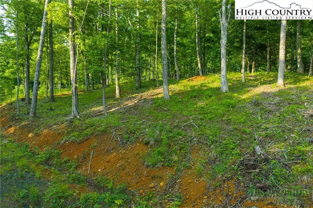 Image number 10 for the current listing