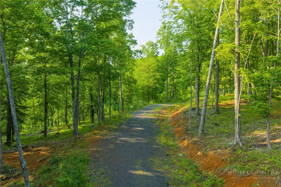 Image number 1 for the current listing
