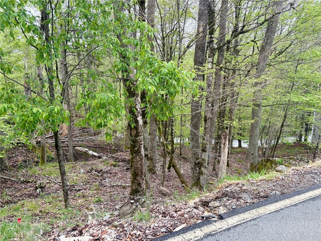 Image number 1 for the current listing