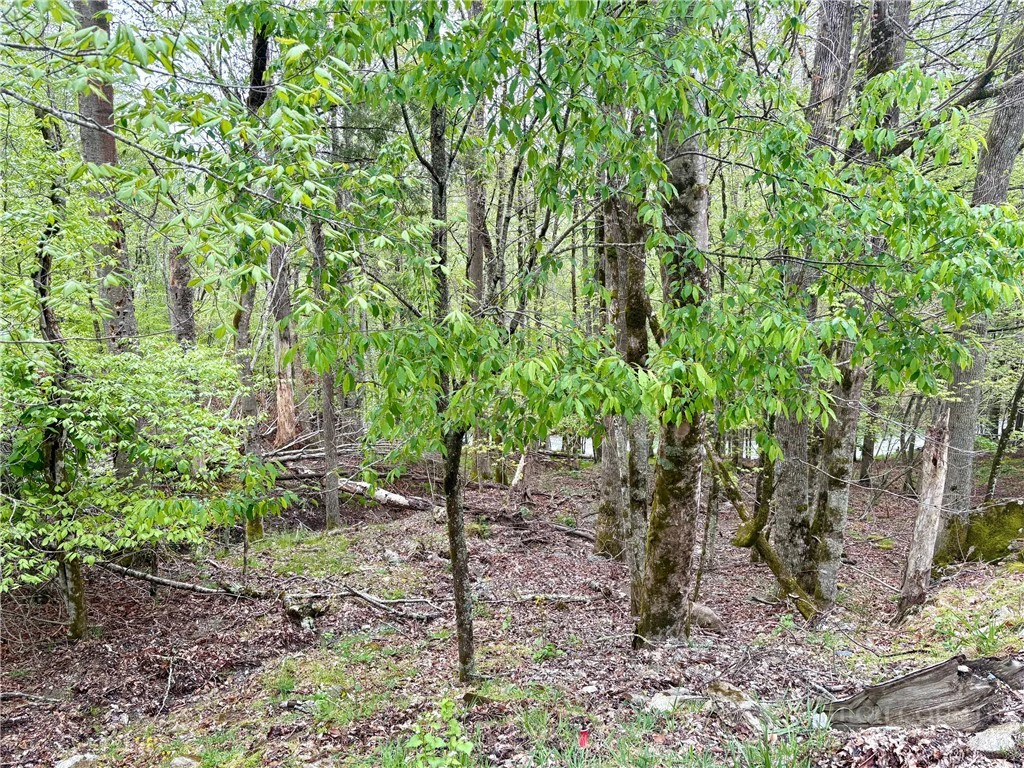 Image number 3 for the current listing