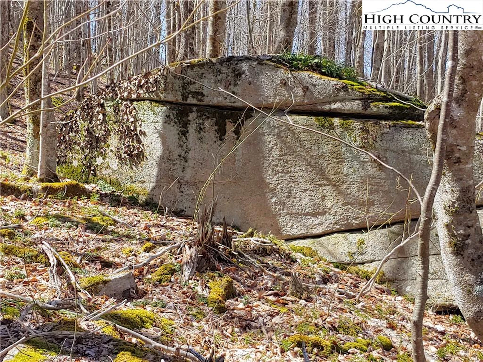 Image number 1 for the current listing