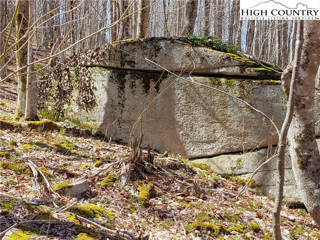 Image number 1 for the current listing