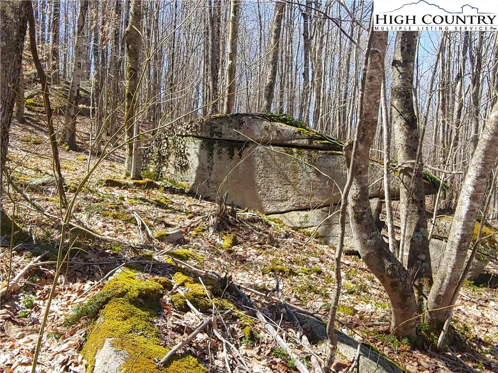 Image number 4 for the current listing