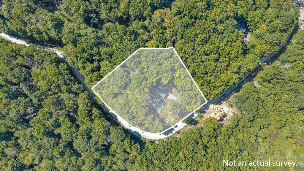 Image number 3 for the current listing