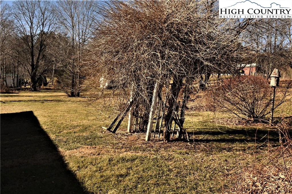 Image number 4 for the current listing