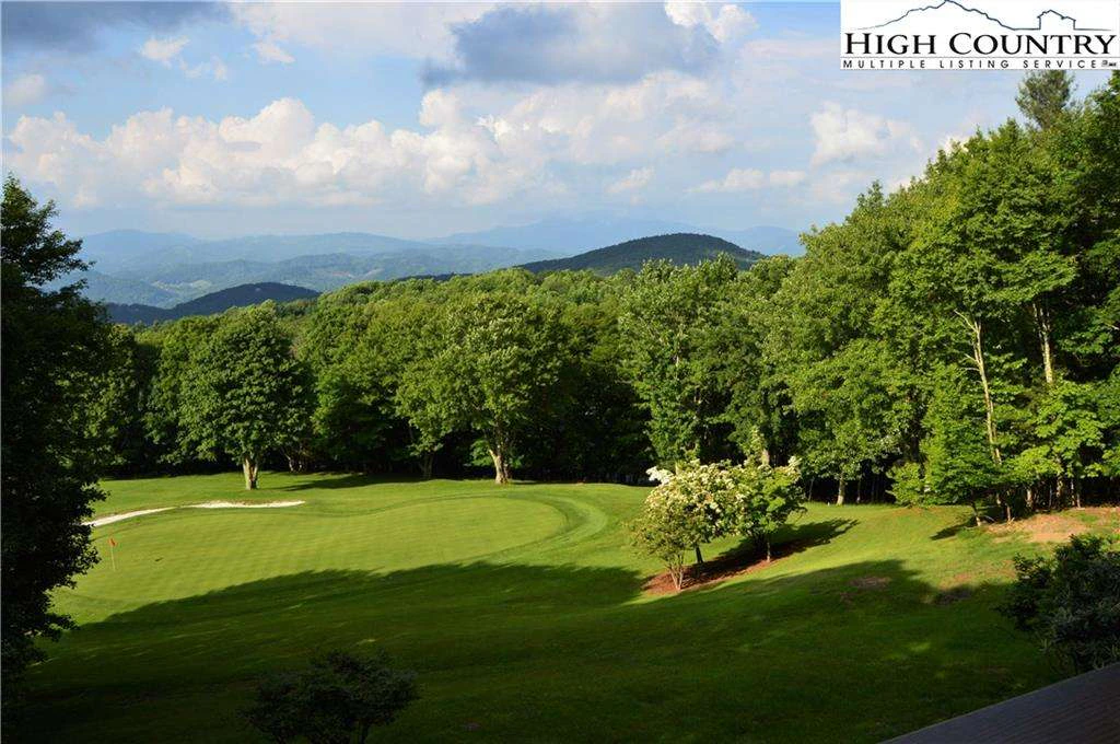 Image number 1 for the current listing