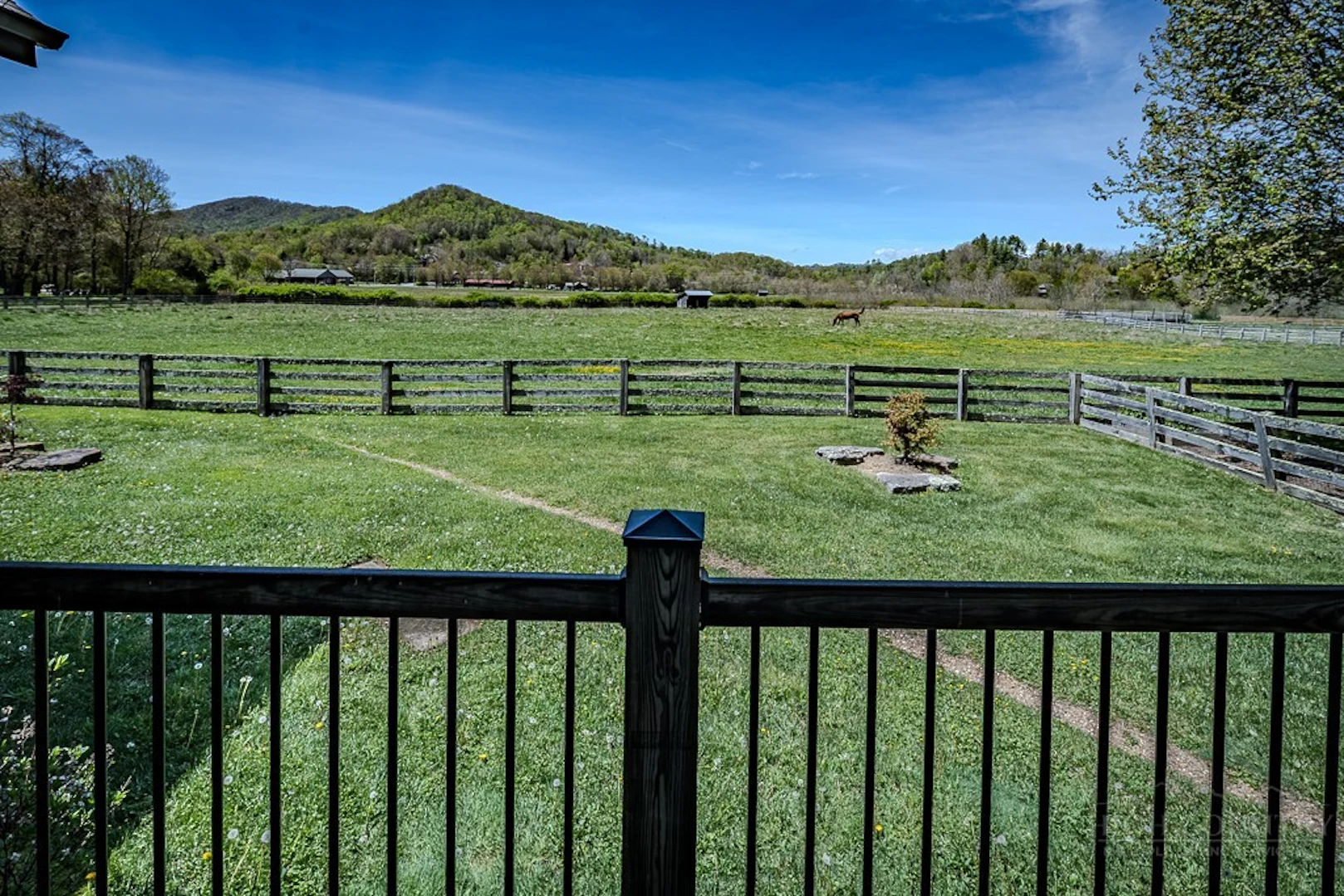 Image number 21 for the current listing