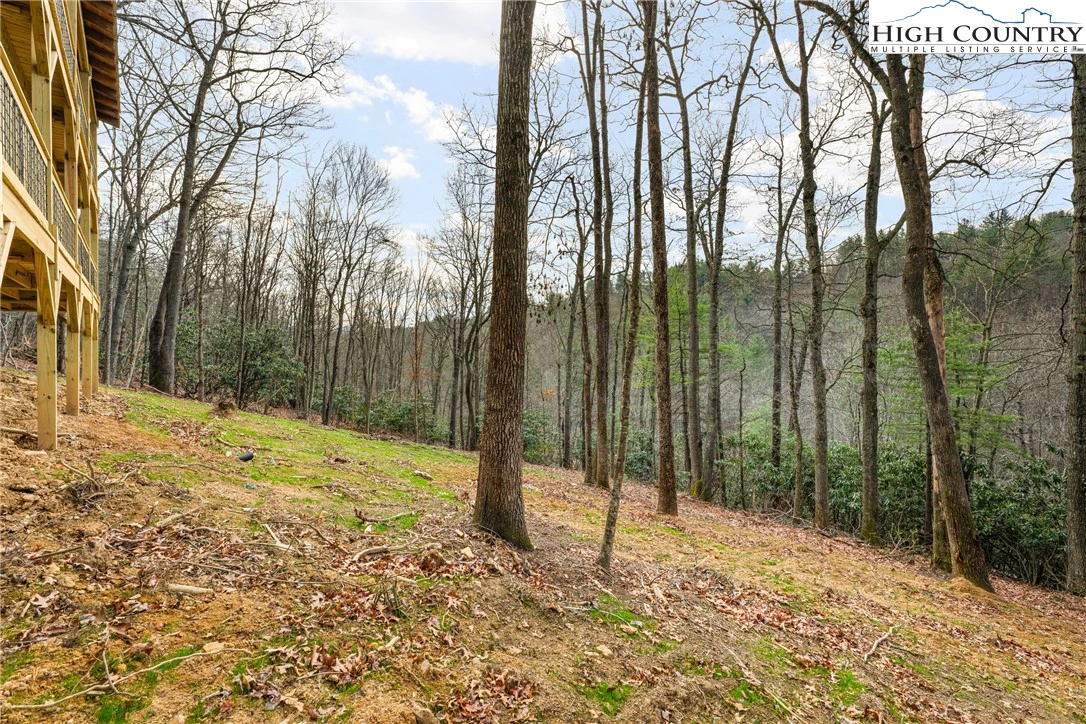 Image number 16 for the current listing
