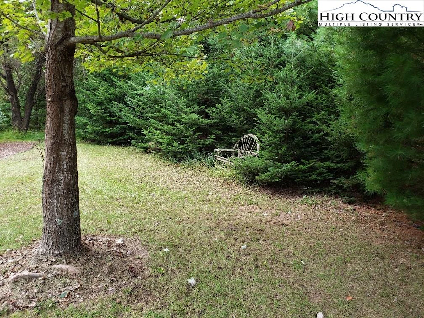Image number 4 for the current listing