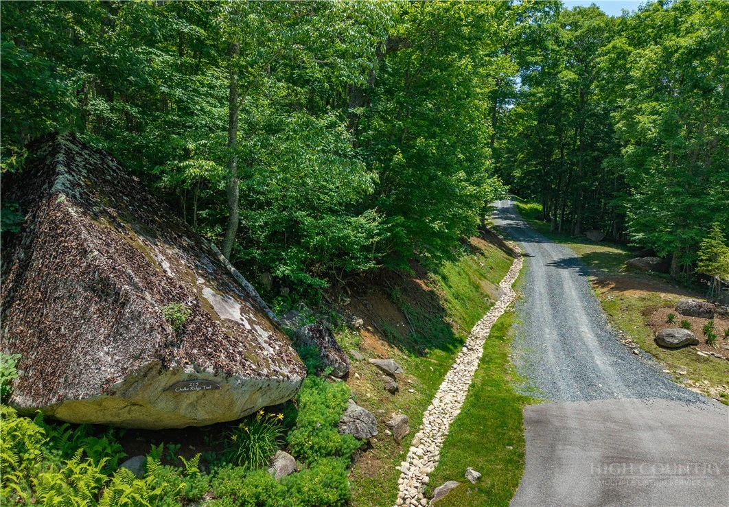 Image number 11 for the current listing