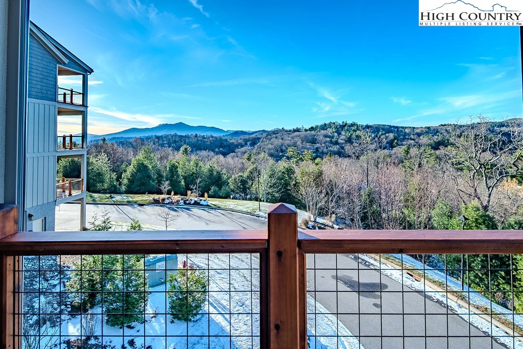 Image number 2 for the current listing