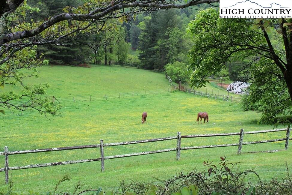 Image number 9 for the current listing
