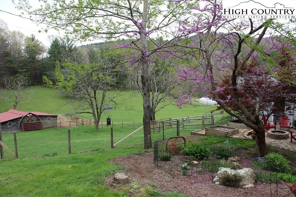 Image number 6 for the current listing