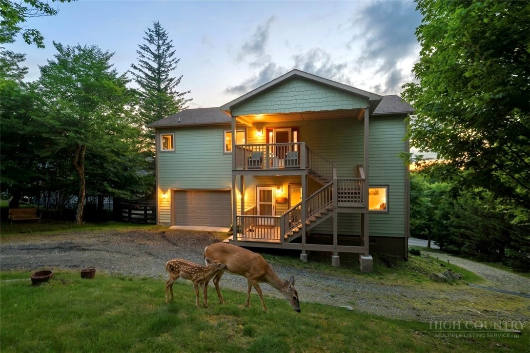 Image number 2 for the current listing