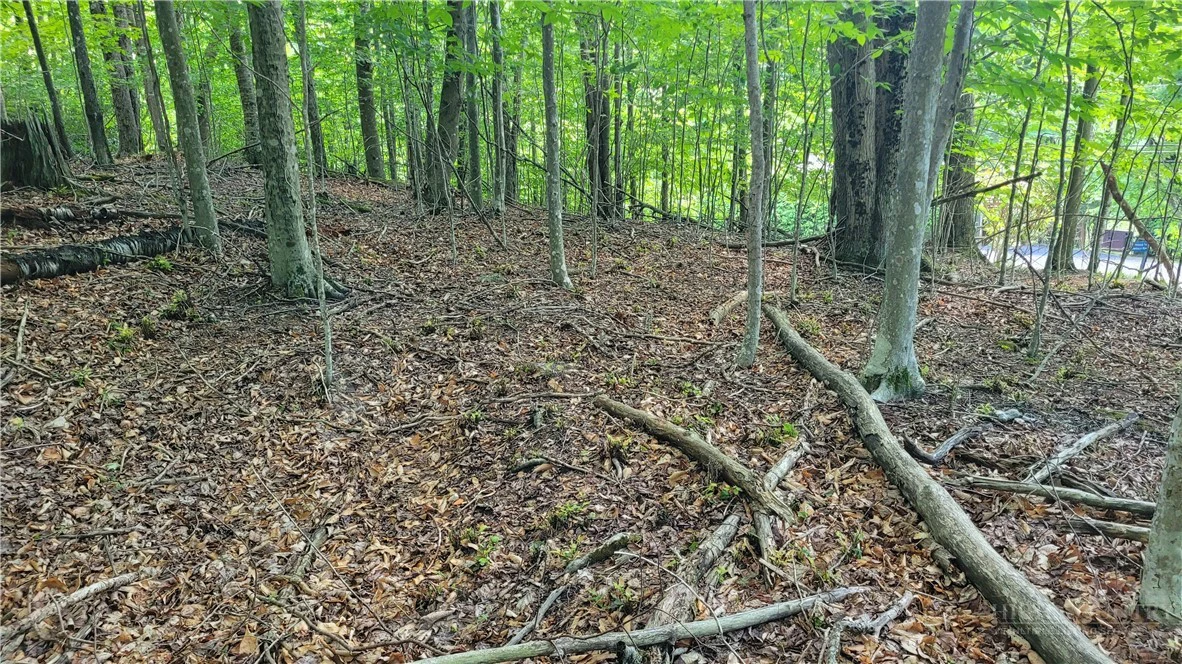 Image number 2 for the current listing
