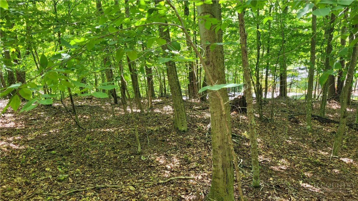 Image number 3 for the current listing