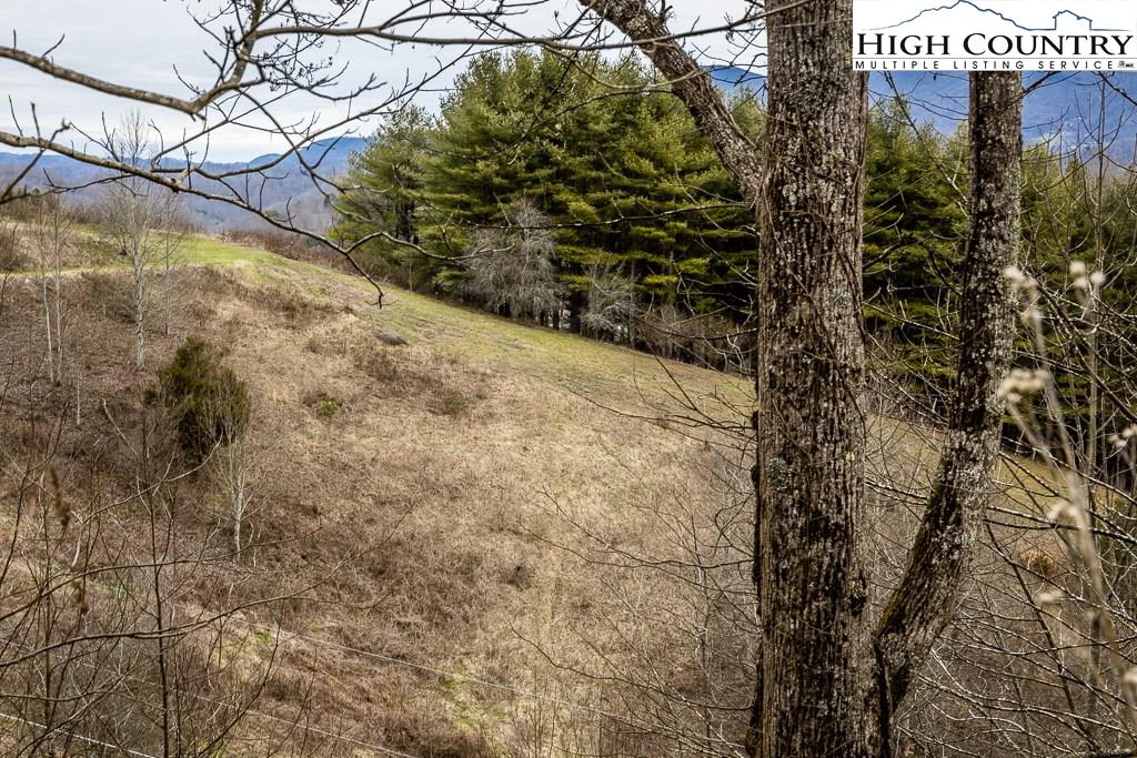 Image number 5 for the current listing