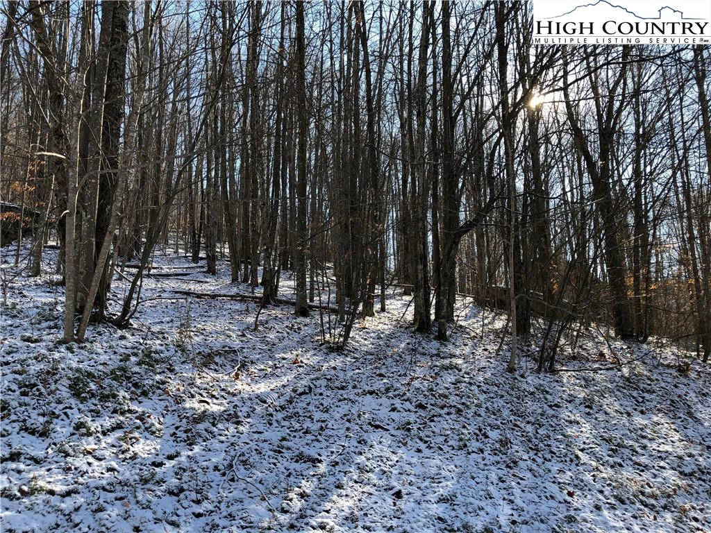 Image number 1 for the current listing