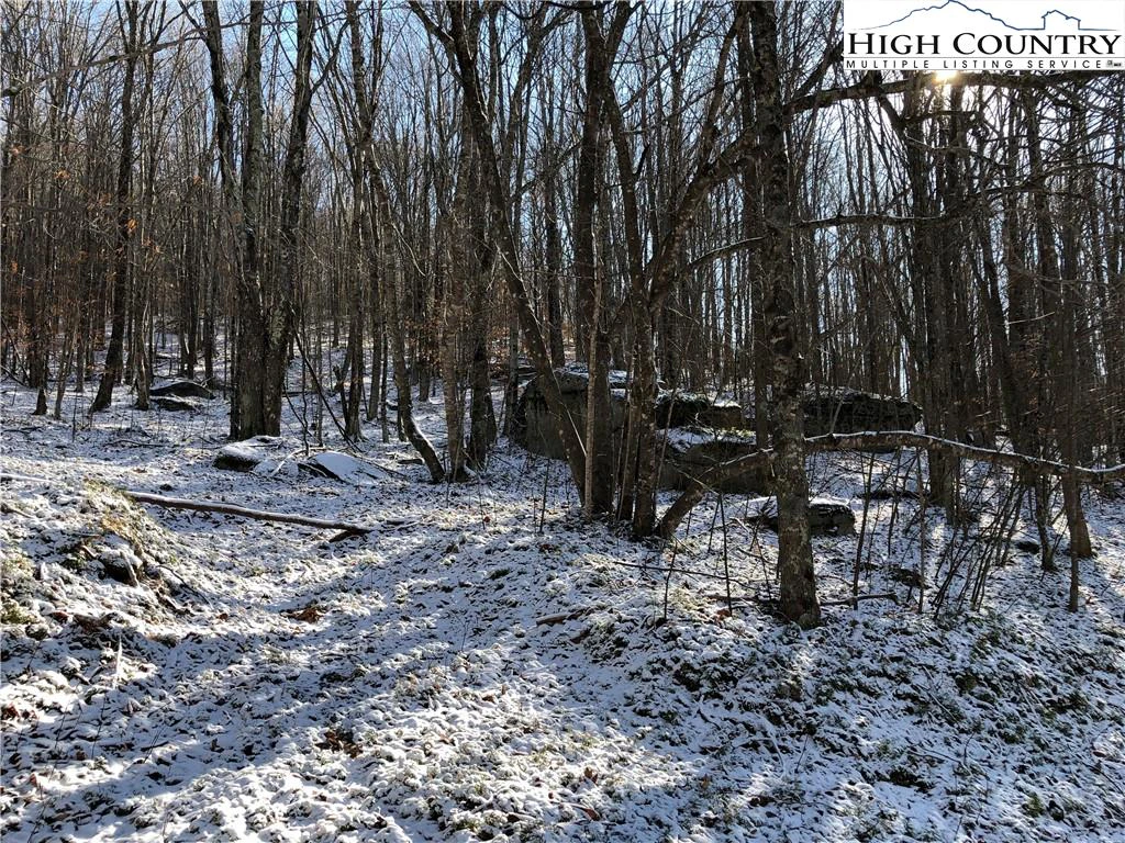 Image number 6 for the current listing