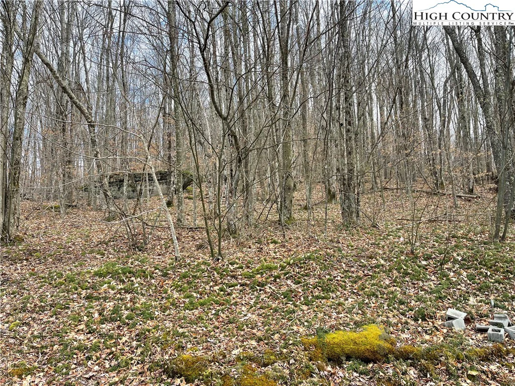 Image number 1 for the current listing