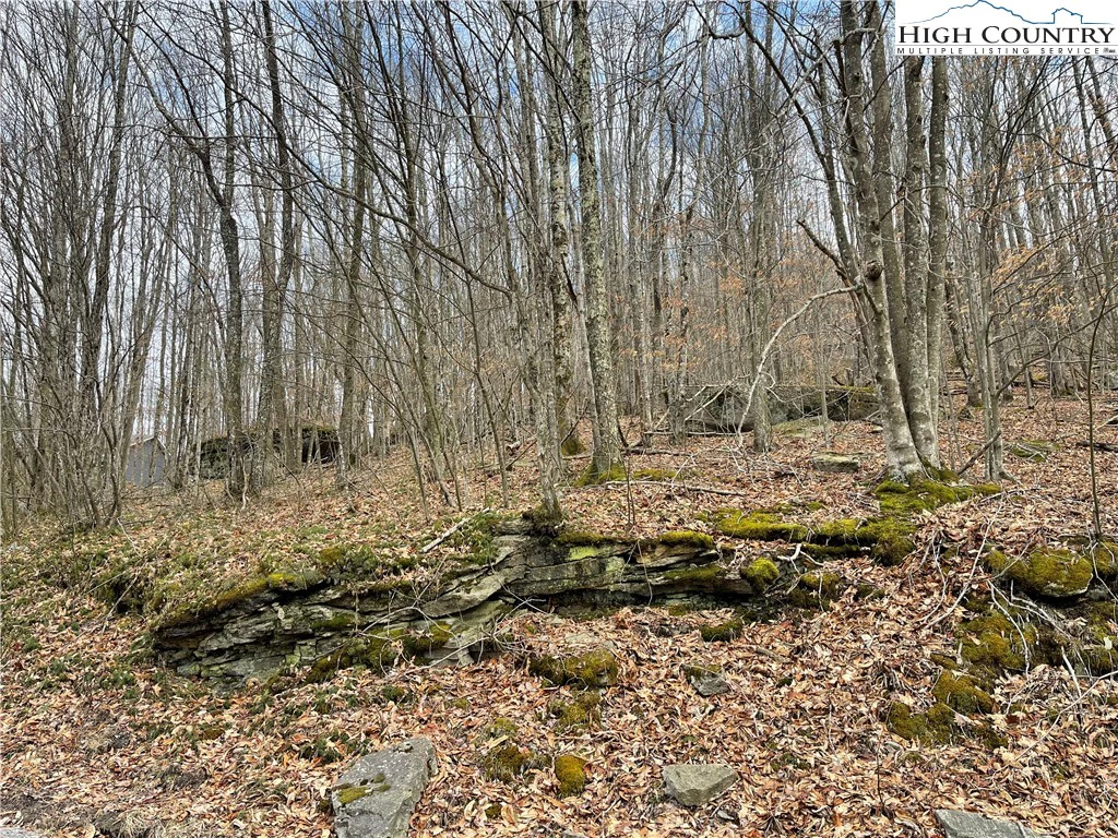 Image number 3 for the current listing