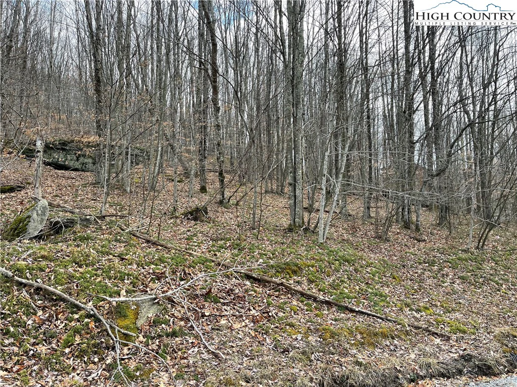 Image number 4 for the current listing