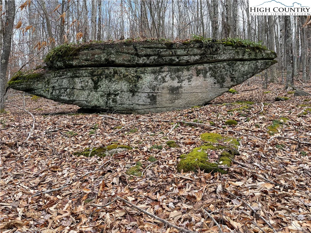 Image number 5 for the current listing