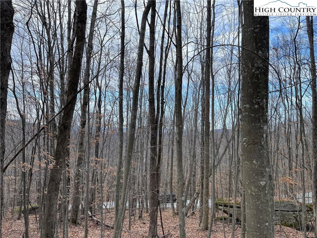 Image number 6 for the current listing