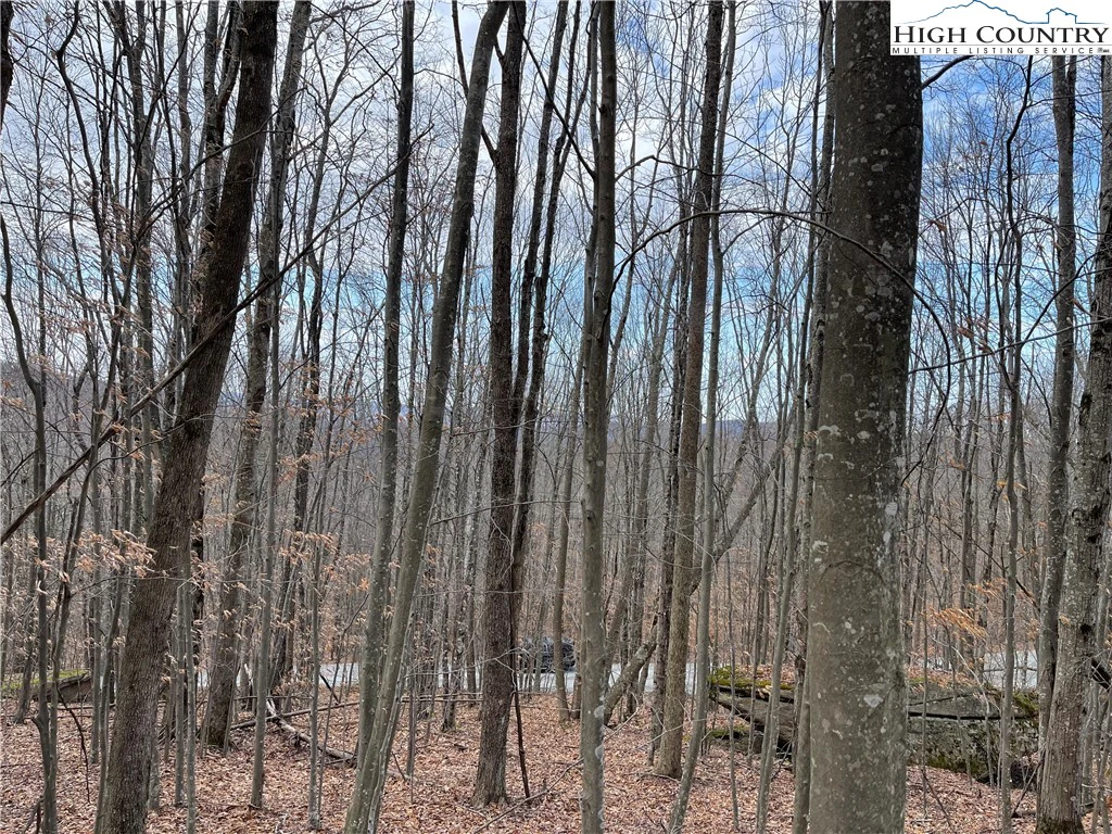 Image number 7 for the current listing