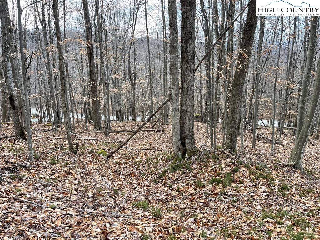 Image number 8 for the current listing