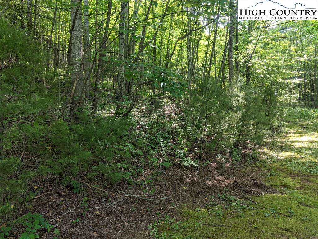Image number 7 for the current listing