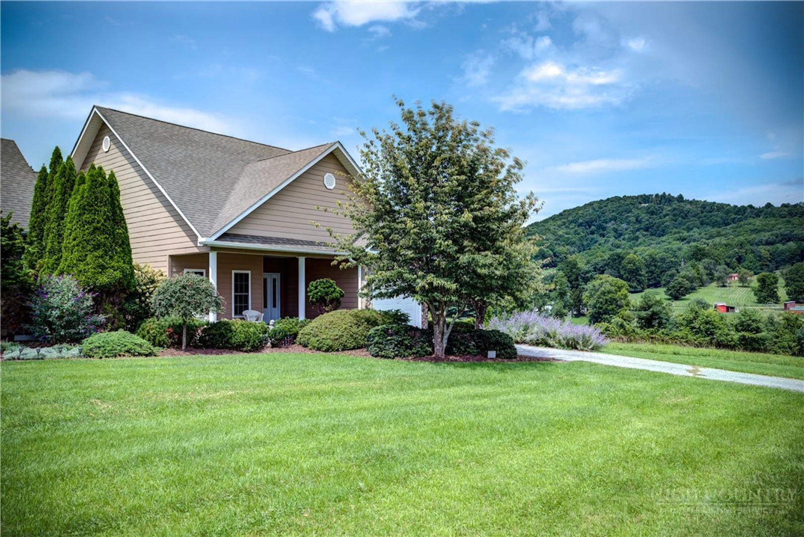 Image number 6 for the current listing
