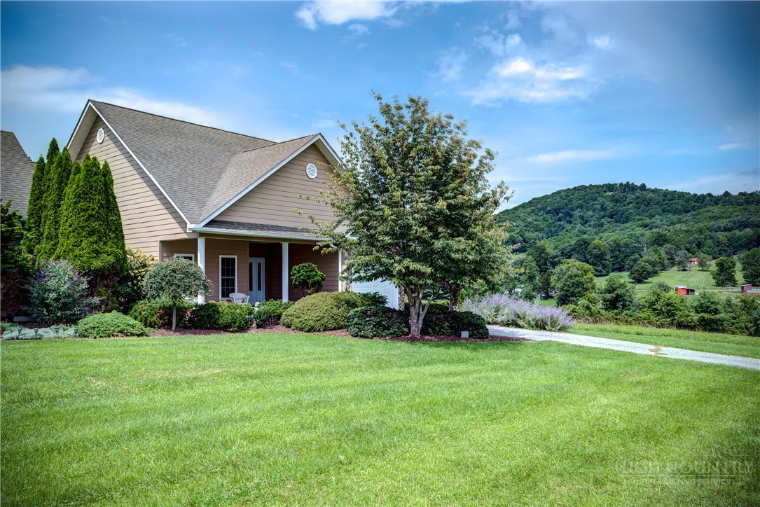 Image number 6 for the current listing
