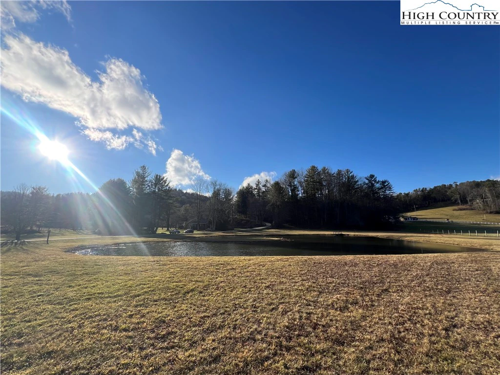 Image number 13 for the current listing