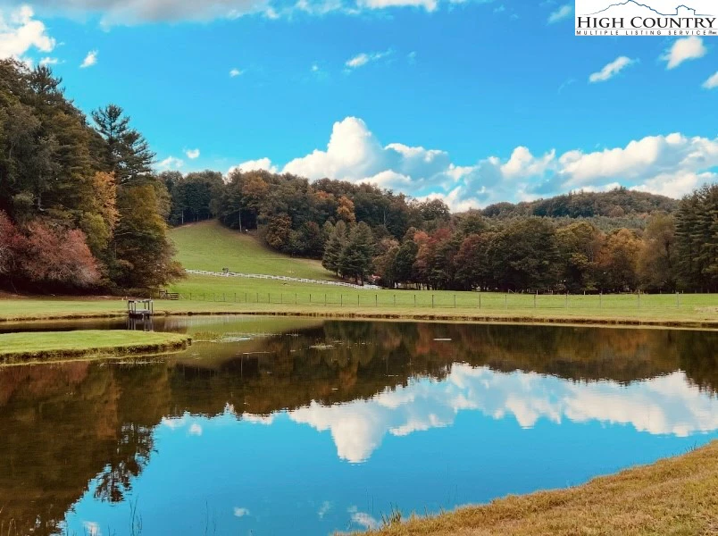 Image number 1 for the current listing