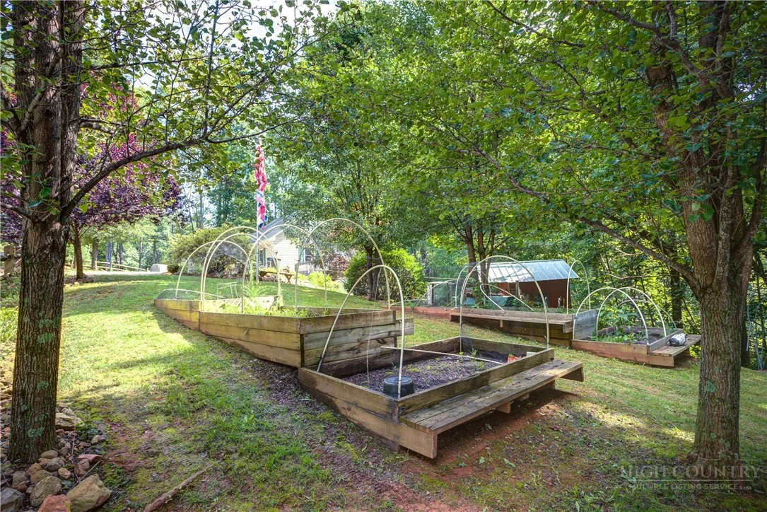Image number 4 for the current listing