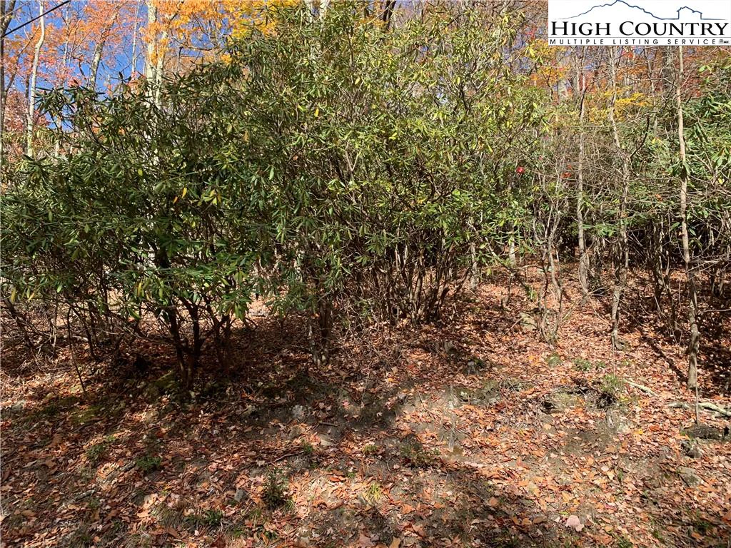 Image number 1 for the current listing