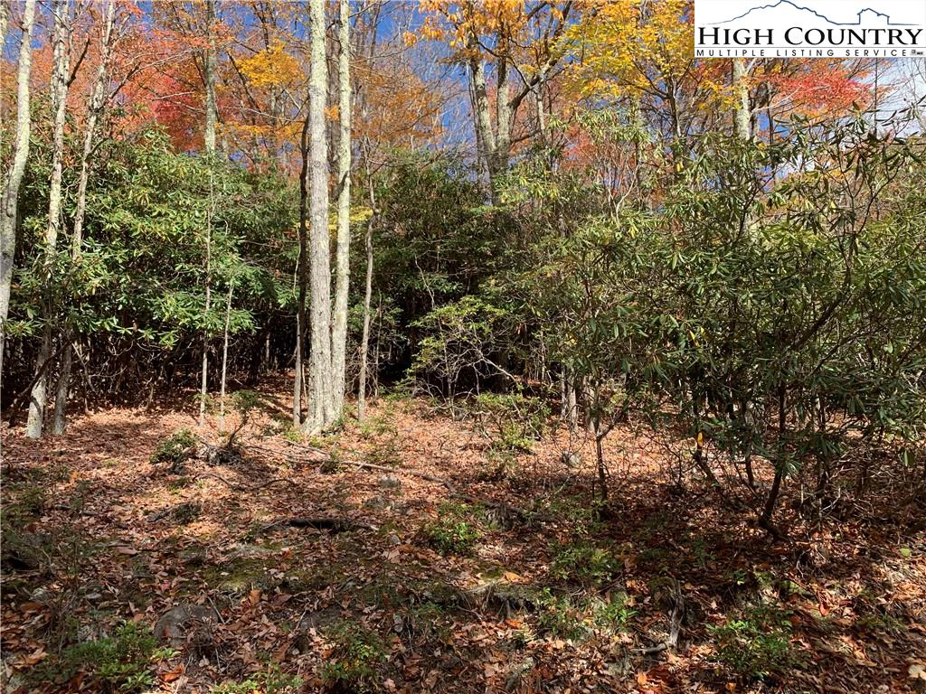 Image number 3 for the current listing