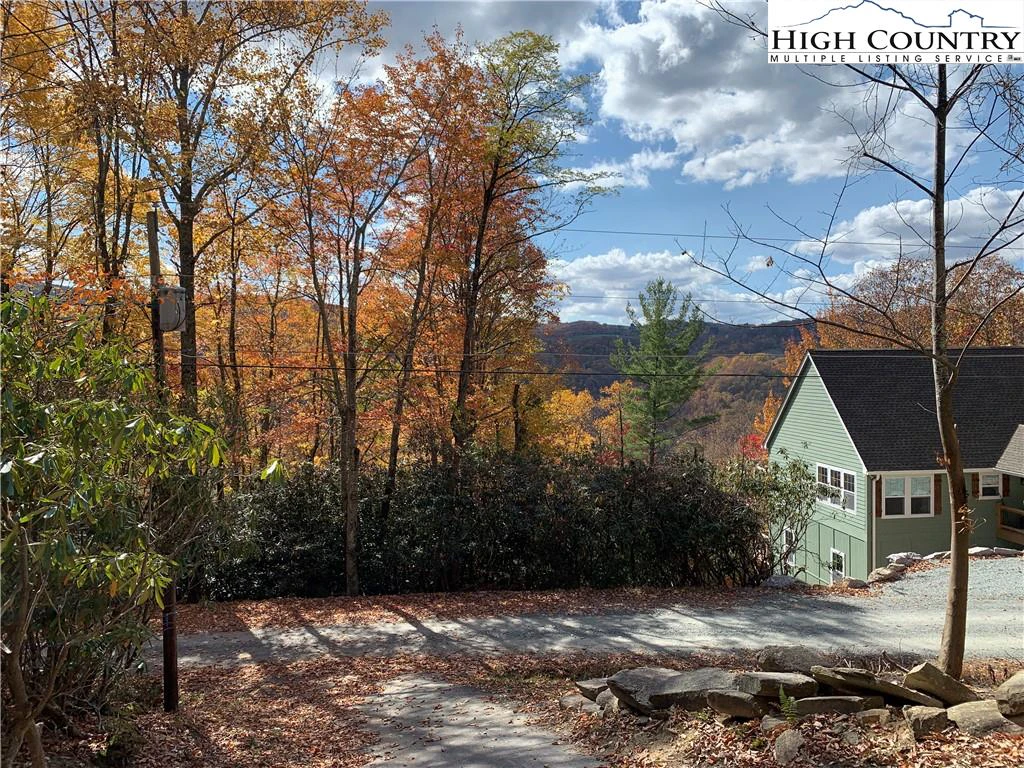 Image number 4 for the current listing